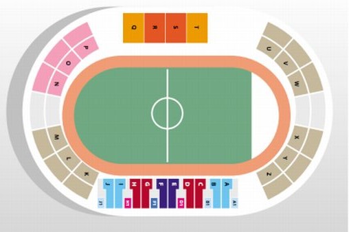 Стадион-проведения событий ДВТК
