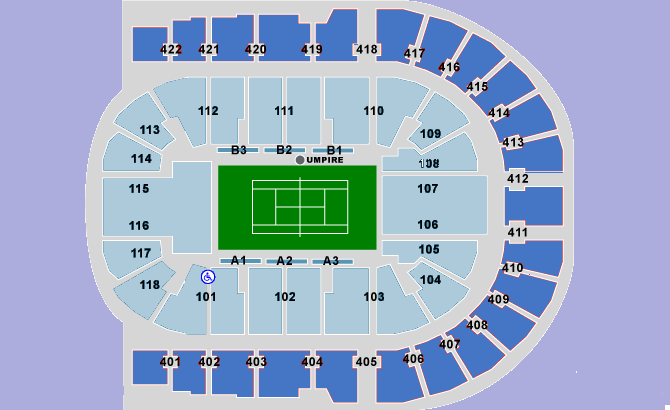 Стадион-проведения событий O2 Арена (The O2 Arena)