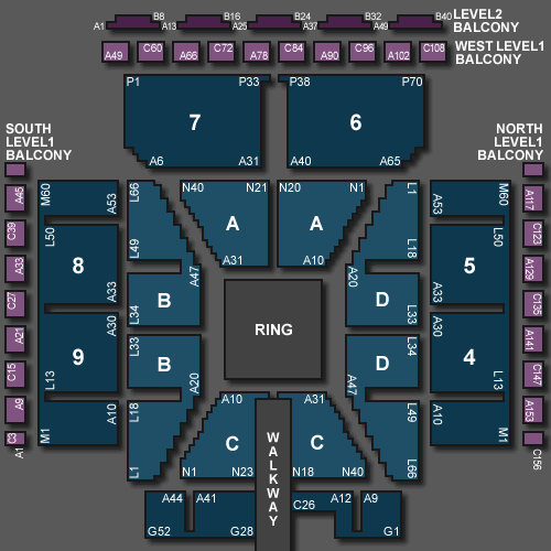 Стадион-проведения событий Моторпоинт Арена