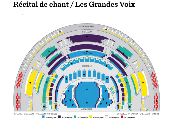 Стадион-проведения событий Театр Елисейских Полей