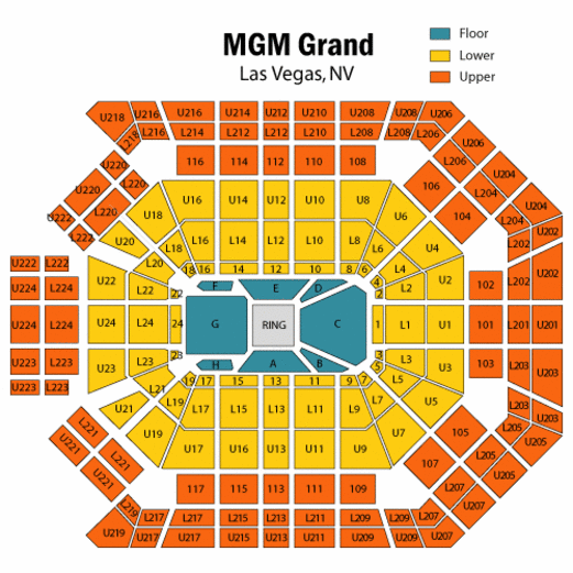 Стадион-проведения событий MGM Grand