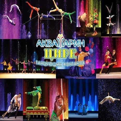 Стадион-проведения событий Цирк 